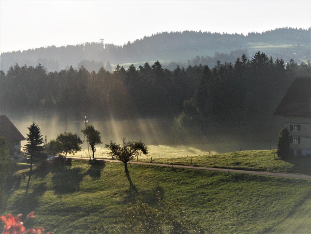 Bio-Bauernhof Heidegger Villa Möggers Kültér fotó