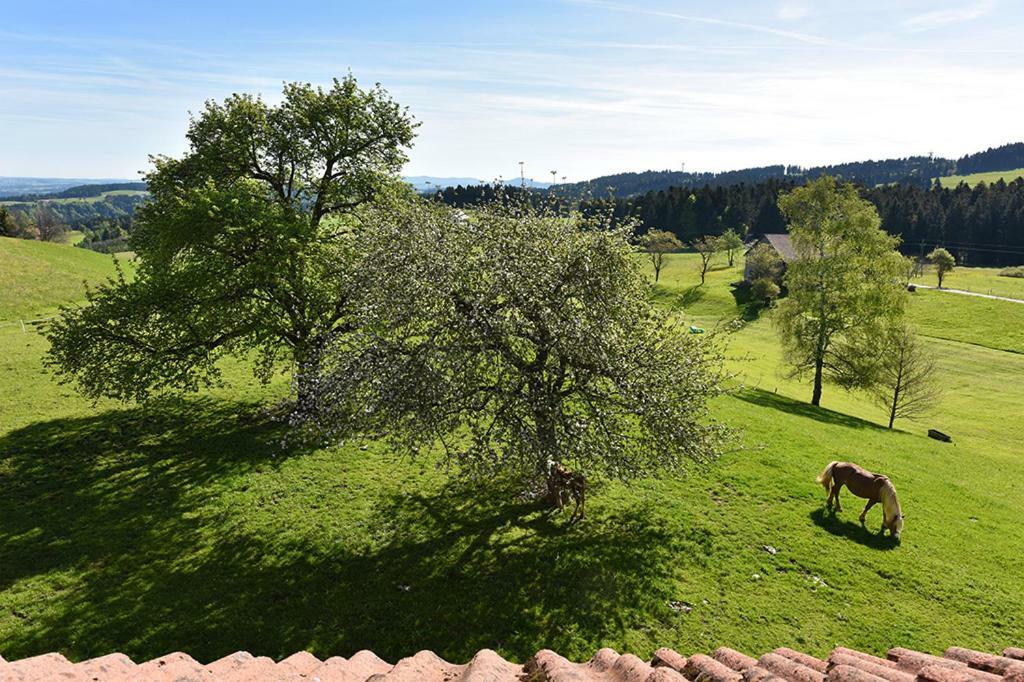 Bio-Bauernhof Heidegger Villa Möggers Kültér fotó