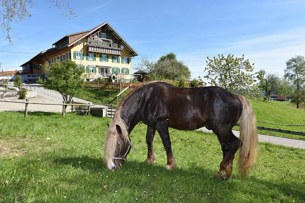 Bio-Bauernhof Heidegger Villa Möggers Kültér fotó